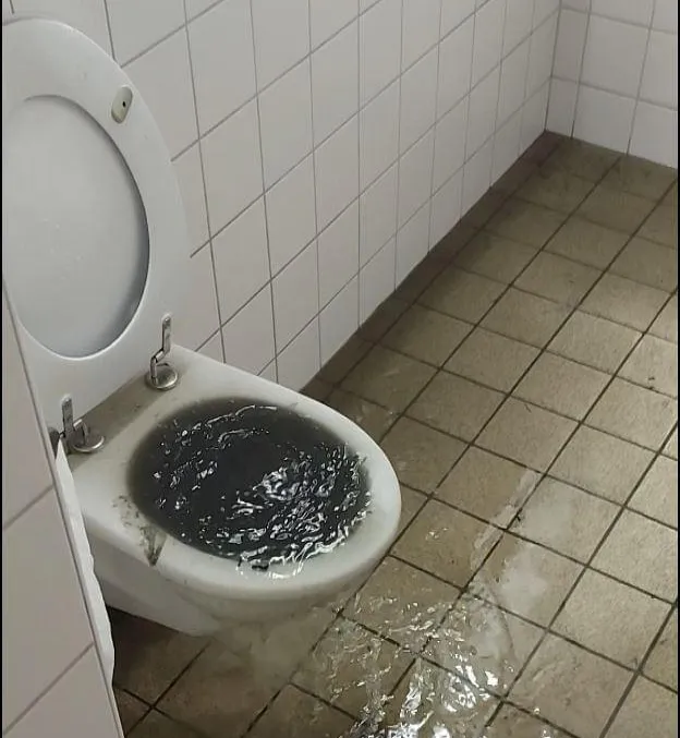 1_unbenannt.jpg