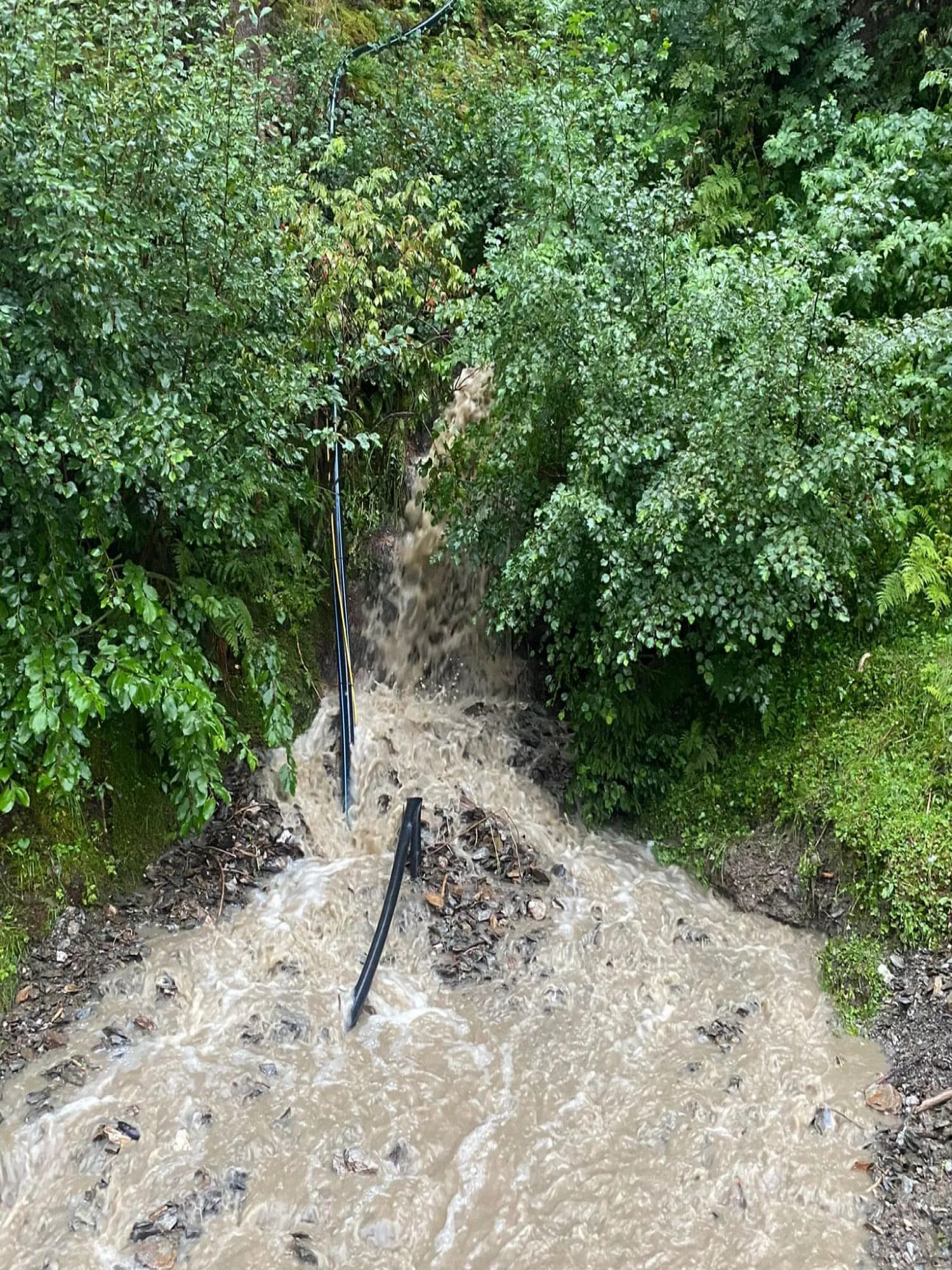 img20210817wa0005.jpg