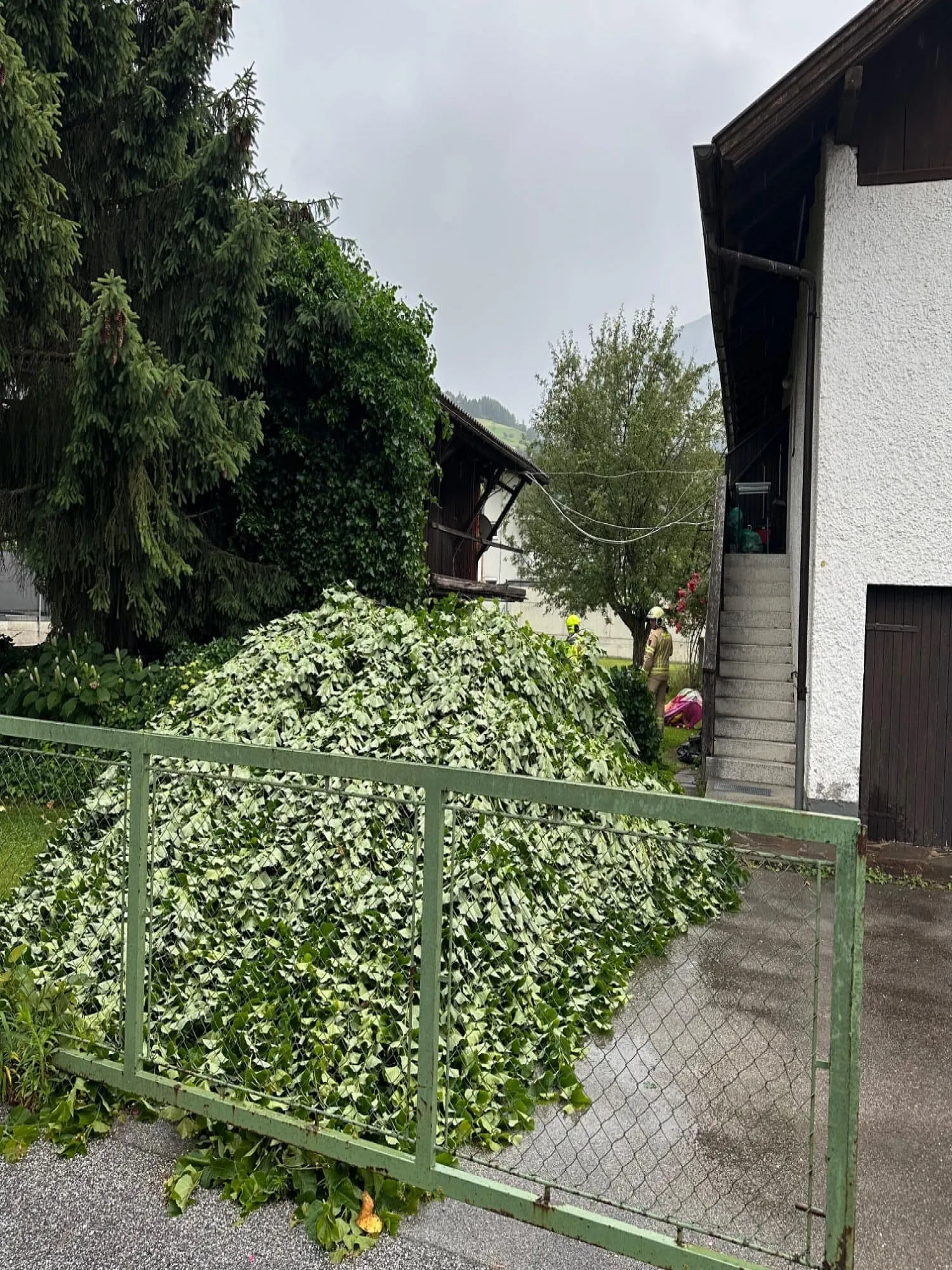 img_0521.jpeg