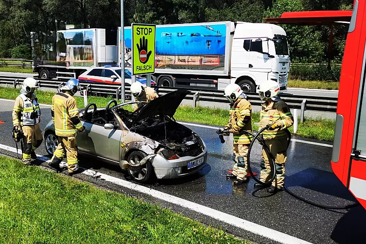 kopie_img_20240715_124138_edit_250333389374821_1.jpg