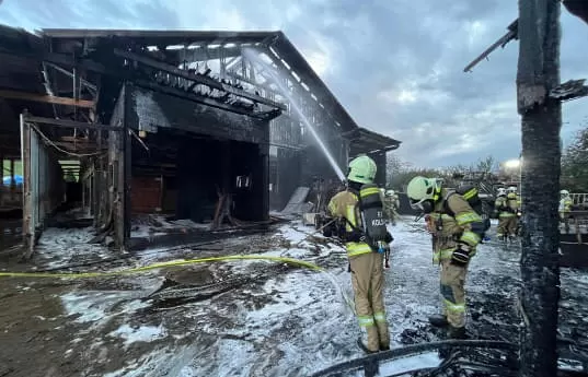 Brand-Pferdestall