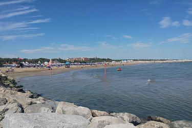 20190531_151717.jpg