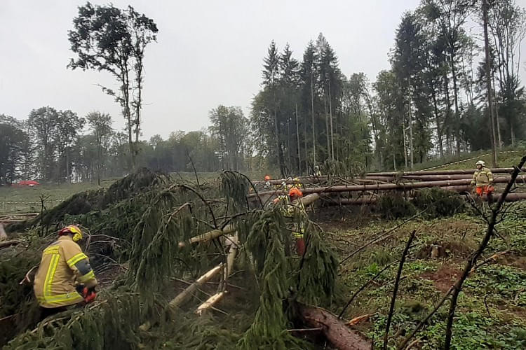 20191005_091314.jpg