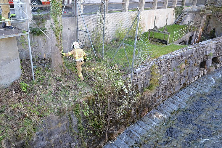 dsc_5985.jpg