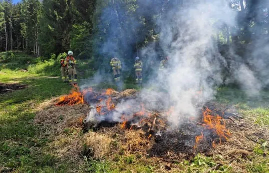 Waldbrandschulung